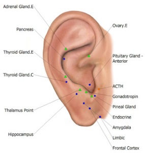 Ear-Acupressure