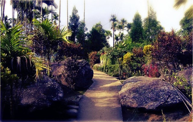 Mawlynnong Village Meghalaya - God;s Own Garden