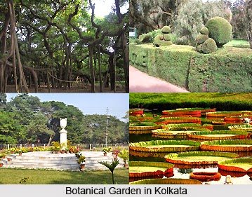 इंडियन बोटेनिकल गार्डन, कोलकाता  (Indian Botanical Garden, Kolkata)