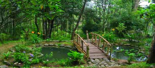 जवाहरलाल नेहरू बोटेनिकल गार्डन, सिक्किम  (Jawaharlal Nehru Botanical Garden, Sikkim)