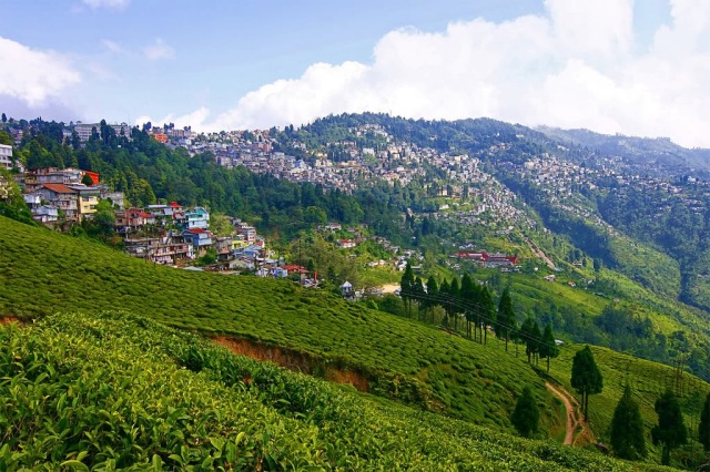 दार्जिलिंग, पश्चिम बंगाल (Darjeeling, West Bengal)